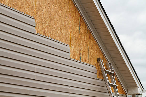 Professional Siding Inspection technician working in London, KY